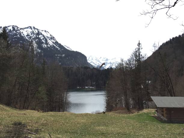 istock Freibergsee near Oberstdorf on a cloudy spring day 1146206453