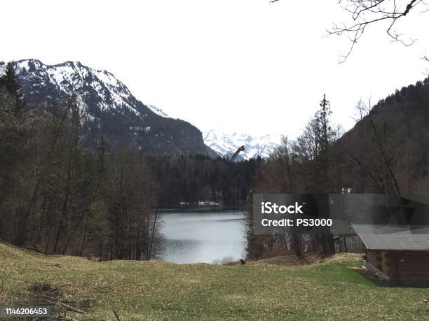 Freibergsee Near Oberstdorf On A Cloudy Spring Day Stock Photo - Download Image Now - Allgau, Allgau Alps, Beauty