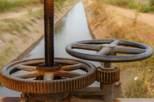 istock Gear opened the floodgates 1146206620
