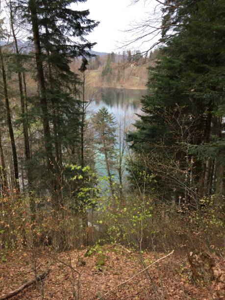 istock Freibergsee near Oberstdorf on a cloudy spring day 1146206693
