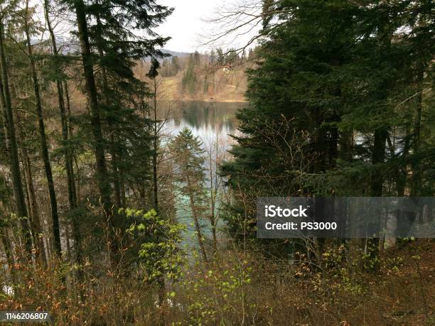 Freibergsee Near Oberstdorf On A Cloudy Spring Day Stock Photo - Download Image Now - Allgau, Allgau Alps, Beauty