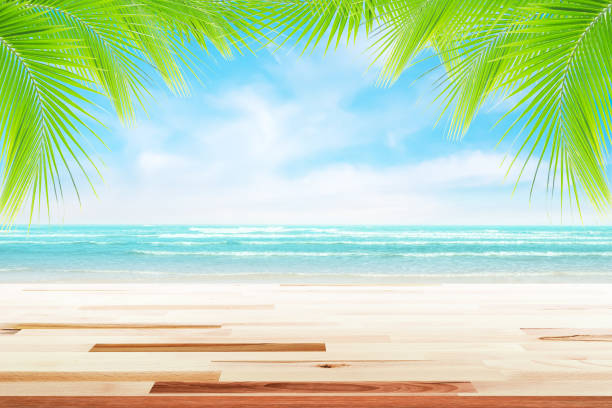istock old wood table top on blurred beach background. 1146209642
