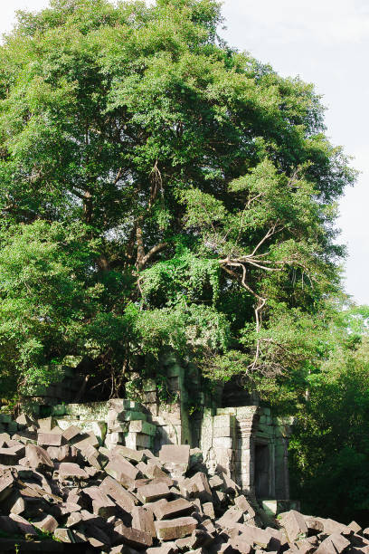 impero khmer del castello di bueng mala in passato - carving cambodia decoration thailand foto e immagini stock