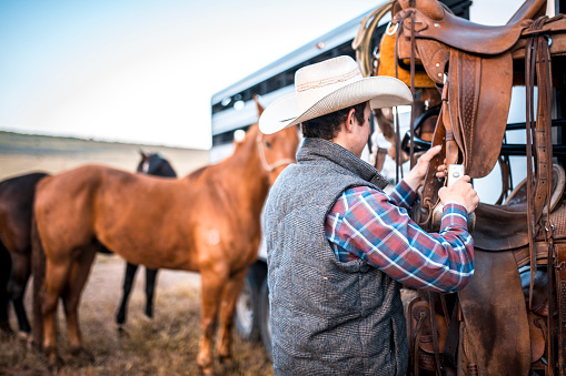 Young horseman preparing to saddle horses tied to a trailer.