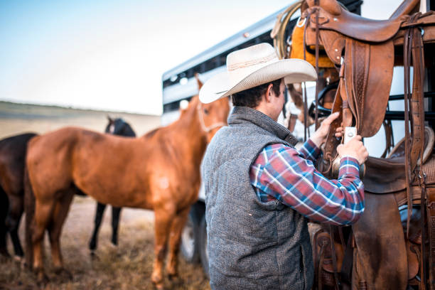 cowboy que prepara-se para selar cavalos amarrados ao reboque - halter horse animal adult - fotografias e filmes do acervo