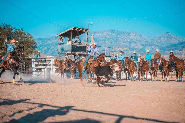 Steer Roping at Rodeo Event in Utah
