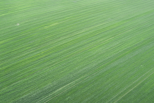 Agricultural fields view from drone