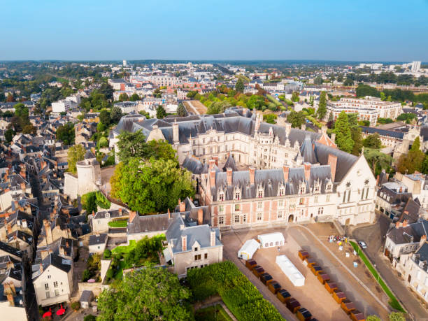 Royal Chateau de Blois, France Royal Chateau de Blois aerial panoramic view in France blois stock pictures, royalty-free photos & images