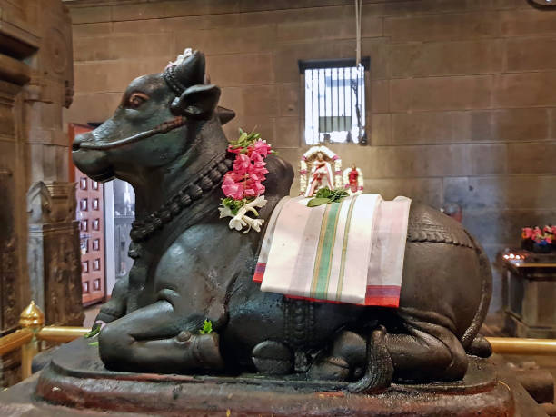 192 Shiva Nandi Temple Bull Stock Photos, Pictures & Royalty-Free Images - iStock 192 Shiva Nandi Temple Bull Stock Photos, Pictures & Royalty-Free Images - iStock