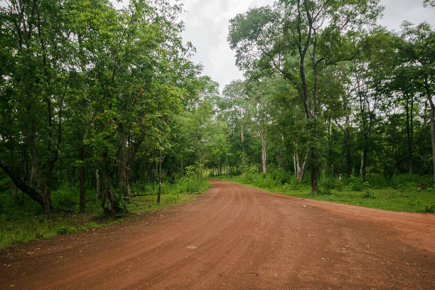 A dirt road in the countryside
