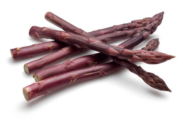 istock Purple asparagus sticks isolated on white 1146220699