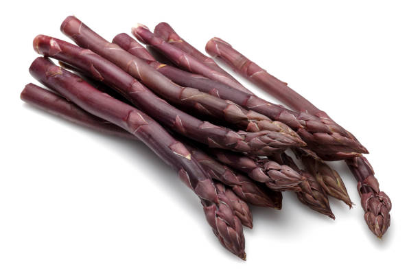 istock Purple asparagus sticks isolated on white 1146222488