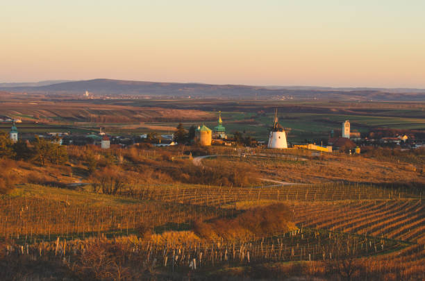 Landscape with the windmill in Retz, Lower Austria at sunset