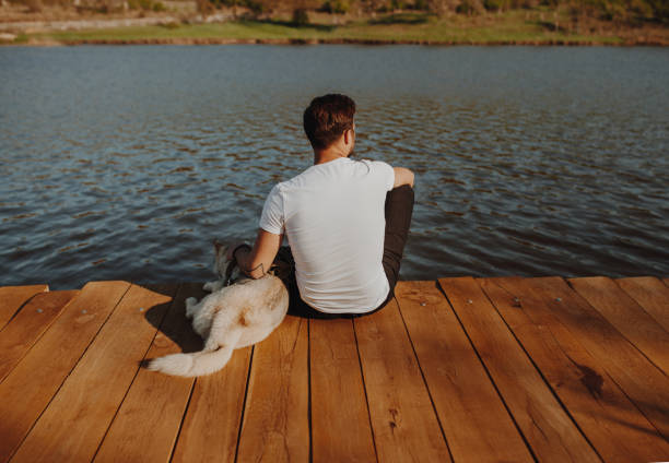 istock Man with dog on remote wooden pier 1146224496