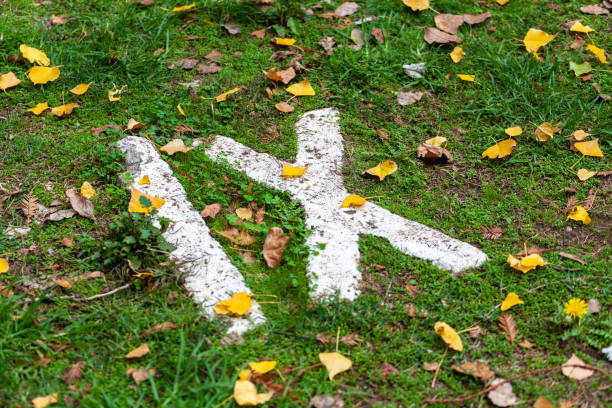 Roman numerals - number 9 painted with white paint on grass