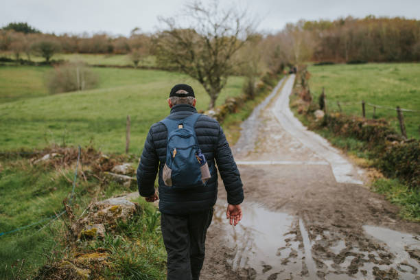 istock Man hiking in a trekking path through green landscape. 1146227966