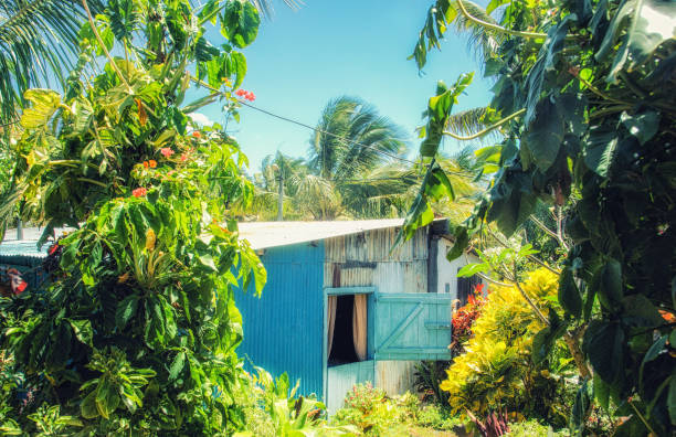 istock Traditional african malagasy hut 1146228568