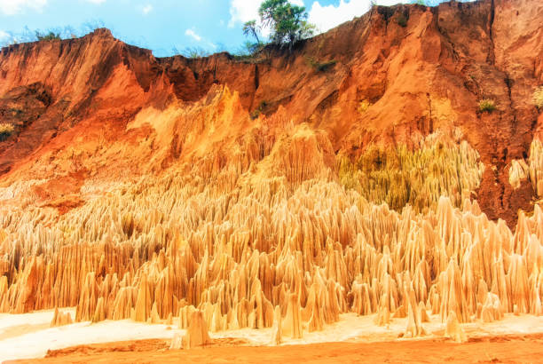 Details of tsingy rouge in Madagascar The Tsingy Rouge (Red Tsingy) is a stone formation of red laterite formed by erosion of the Irodo River in the region of Diana in northern Madagascar. cretaceous photos stock pictures, royalty-free photos & images