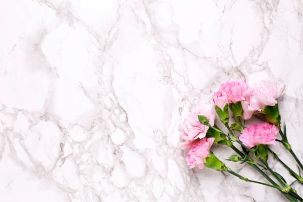 istock Pink flowers carnations on marble table top view and flat lay style. 1146230700