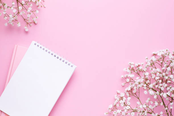 Empty notebook and white flowers on pink pastel table top view in flat lay style. Woman working desk.