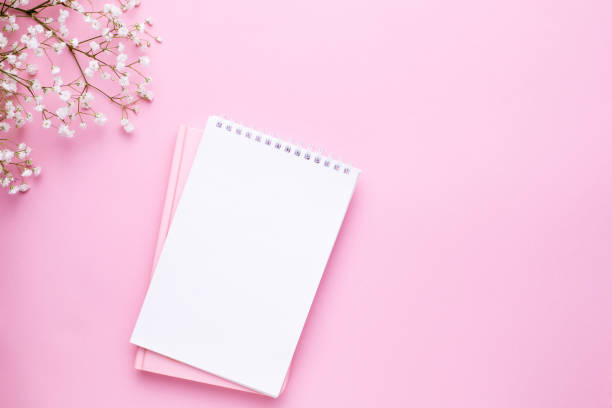 istock Empty notebook and white flowers on pink pastel table top view in flat lay style. Woman working desk. 1146230731