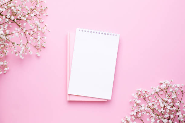istock Empty notebook and white flowers on pink pastel table top view in flat lay style. Woman working desk. 1146230745