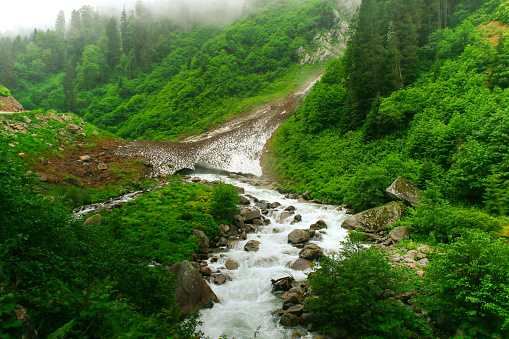 Glacier melts and creates stream under partial light. Forest and trees with tones of green. Dirt covers the glacier.
