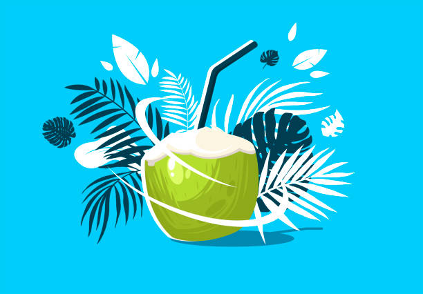 vektordarstellung von cocktail aus kokosnuss mit stroh und tropischen blättern im hintergrund - single object leaf nobody nature stock-grafiken, -clipart, -cartoons und -symbole