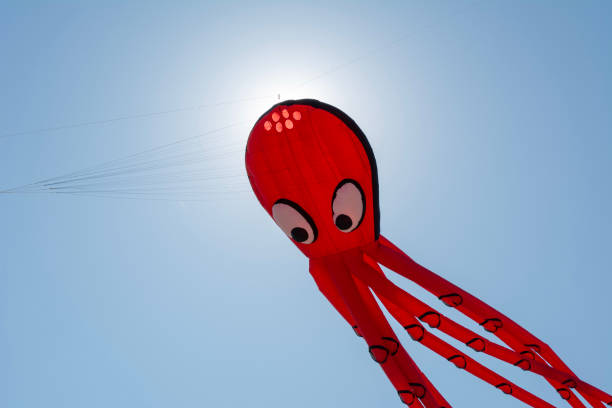 istock Octopus kite in Saint Peter Ording in Germany 1146233290