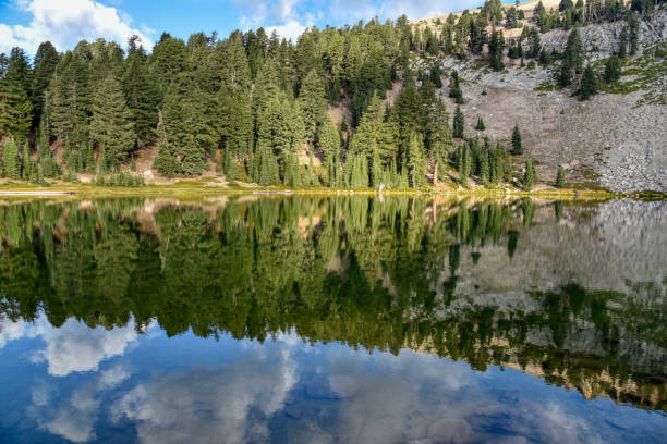 istock Reflection on Emerald Lake in Lassen Volcanic National Park 1146234462