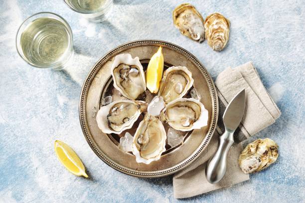 Fresh ocean oysters with slices of lemon on ice. Top view. Copy cpace. Fresh ocean oysters with slices of lemon on ice. Top view. Copy cpace. oyster photos stock pictures, royalty-free photos & images