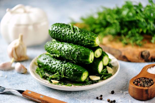 homemade cucumbers quick salting with dill, garlic and bay leaf. organic food. - bay leaf healthy eating food and drink red imagens e fotografias de stock
