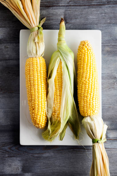 신선한 옥수수와 녹색 잎은 여전히 생명 채소, 달콤한 노란 옥수수, 나무 테이블에 옥수수, 신선한 옥수수 - corn corn crop corn on the cob isolated 뉴스 사진 이미지