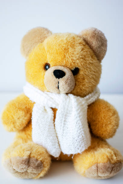 istock brown toy soft bear on white background childhood concept 1146240496