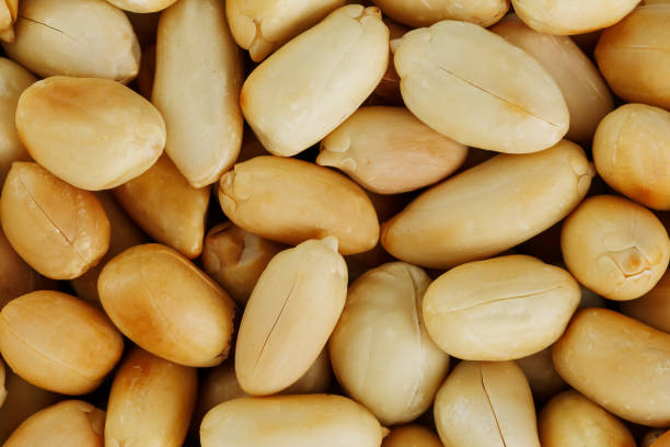 istock Peanut texture. food background of peanuts beans. 1146240587