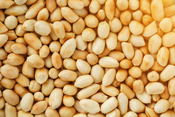 istock Peanut texture. food background of peanuts beans. 1146240657