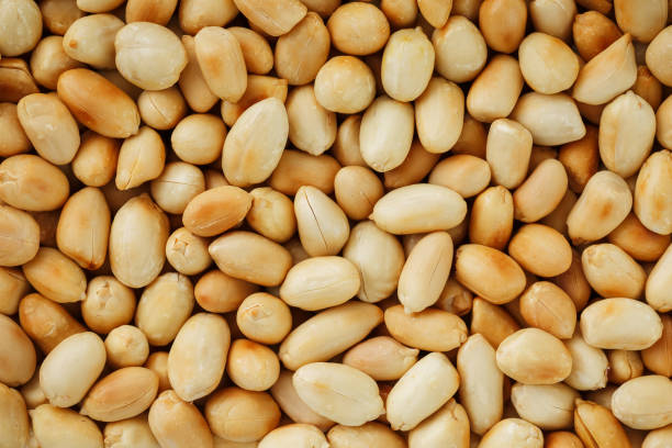 istock Peanut texture. food background of peanuts beans. 1146241239