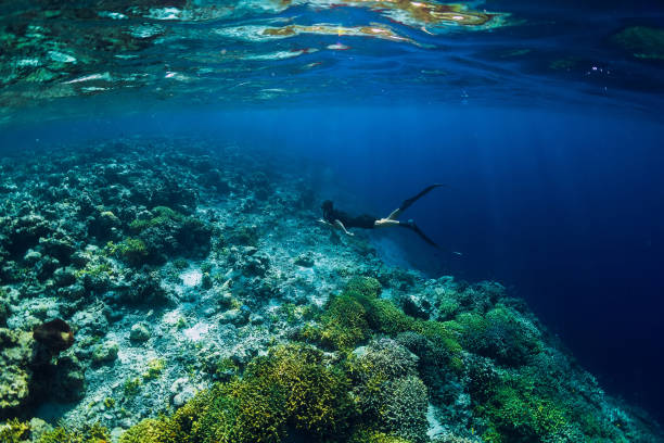 istock Freediver men swim underwater in ocean 1146241342