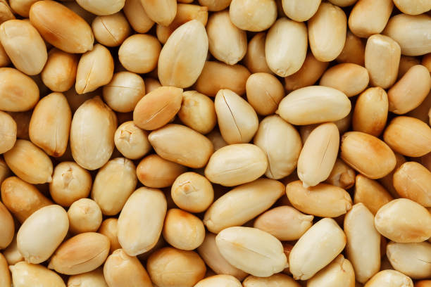 istock Peanut texture. food background of peanuts beans. 1146241490