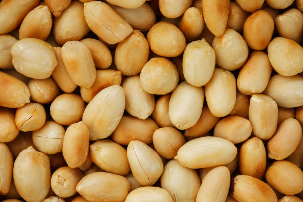 istock Peanut texture. food background of peanuts beans. 1146241504