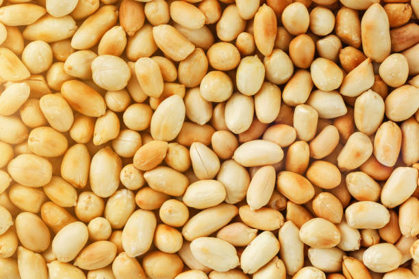 istock Peanut texture. food background of peanuts beans. 1146241546