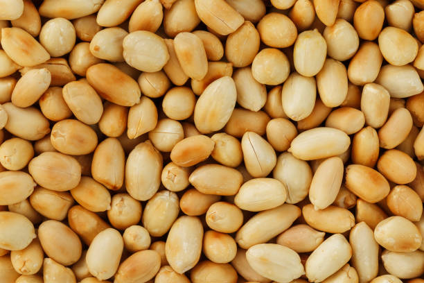 istock Peanut texture. food background of peanuts beans. 1146241572