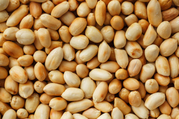 istock Peanut texture. food background of peanuts beans. 1146241607