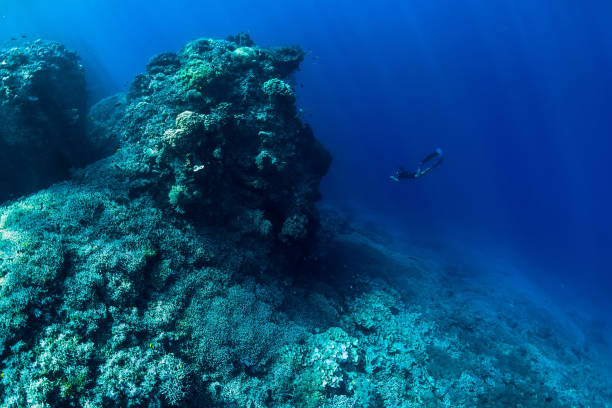 istock Freediver men swim underwater in ocean 1146241617