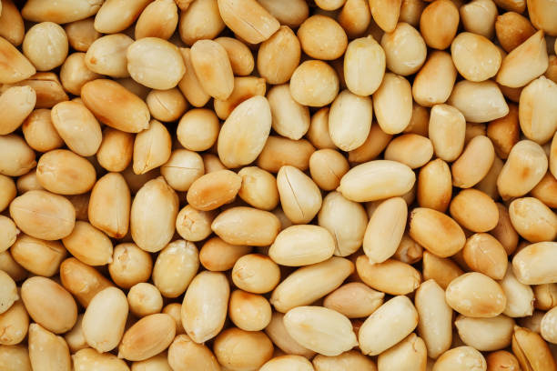 istock Peanut texture. food background of peanuts beans. 1146241645