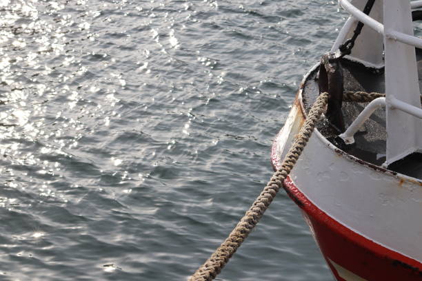 istock Rope and bow of boat 1146243224