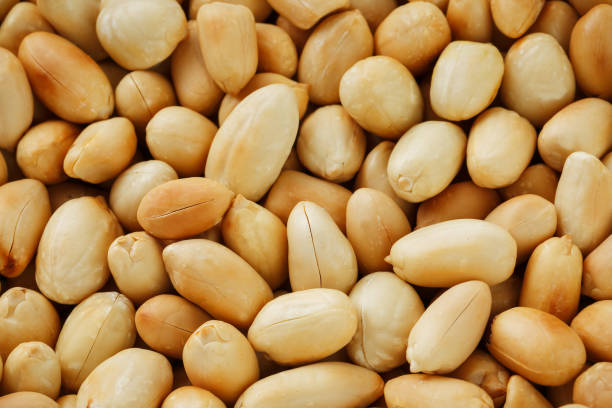 istock Peanut texture. food background of peanuts beans. 1146244308