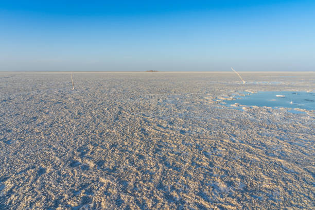 sprudelnder teich in den salzplänen des asale-sees in der danakil-depression in äthiopien, afrika - afar desert stock-fotos und bilder