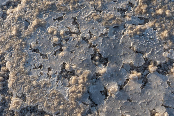 nahaufnahme des salzes der salzpläne des asale-sees in der danakil-depression in äthiopien, afrika - afar desert stock-fotos und bilder