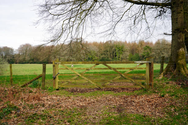 istock Old wooden gate in the countryside 1146251797